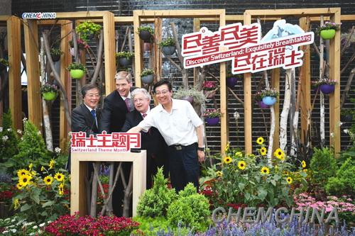 点击查看大图